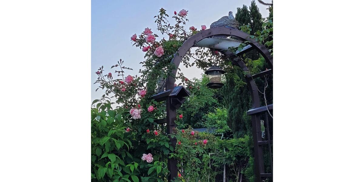 Doppelhaushälfte Velbert Pöthen - 3 Zimmer, 100 m&sup2;, 265.000&euro; | Angebot:24770606