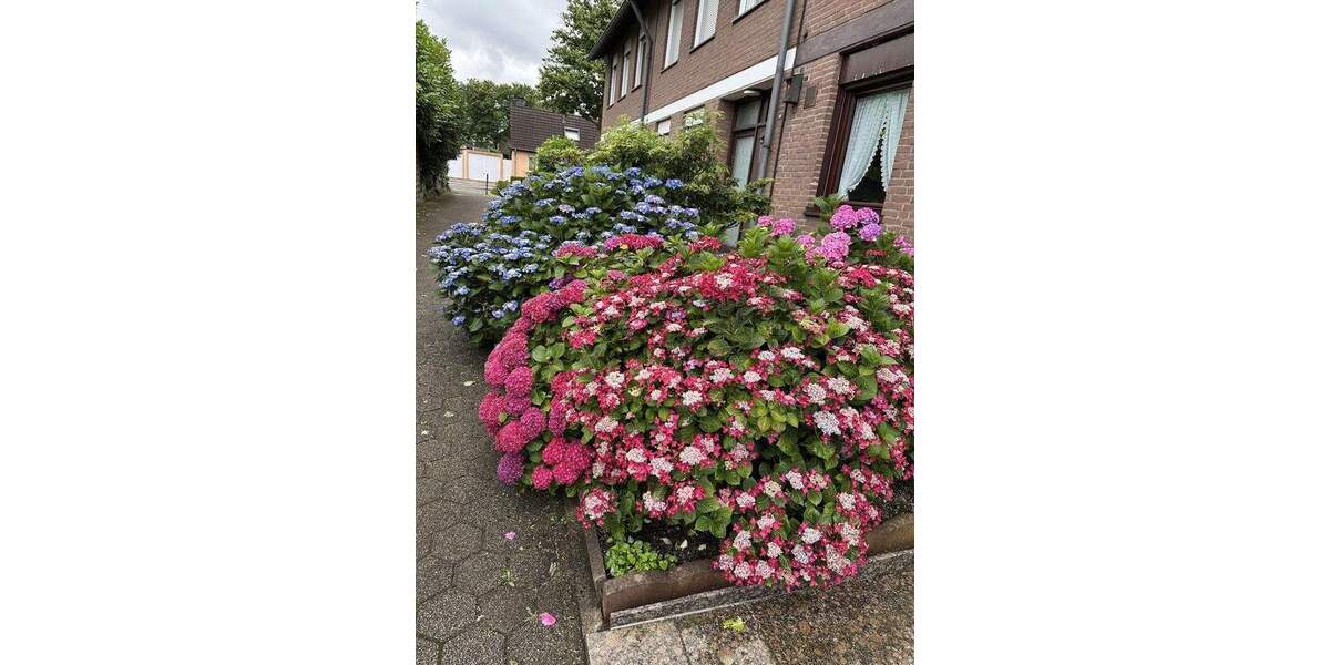 Reihenendhaus Essen Schonnebeck - 5 Zimmer, 145 m&sup2;, 419.000&euro; | Angebot:24389397