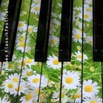 Thomas Andras Jazz Corporation