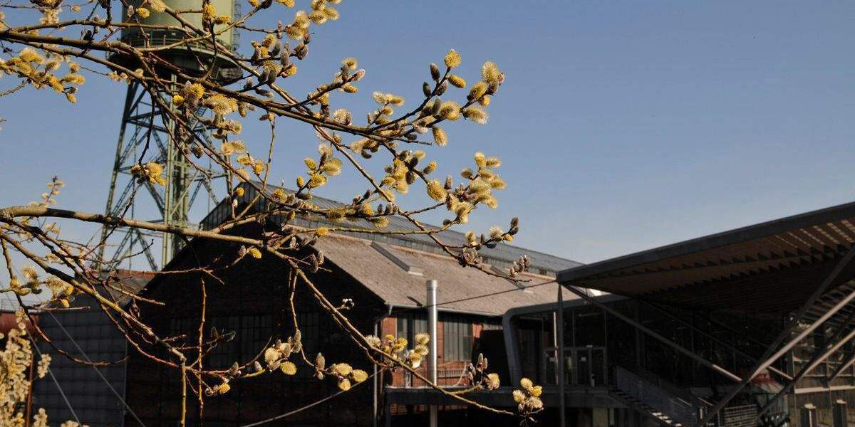 Bochum: attraktives Gewerbegrundstück am Westpark (Gerard-Mortier-Platz) zimmer