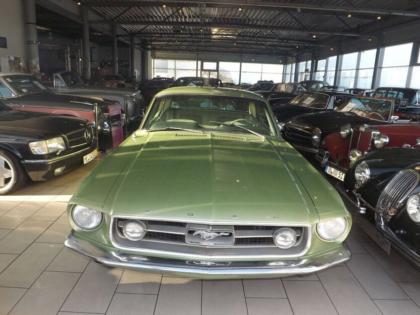 Mustang