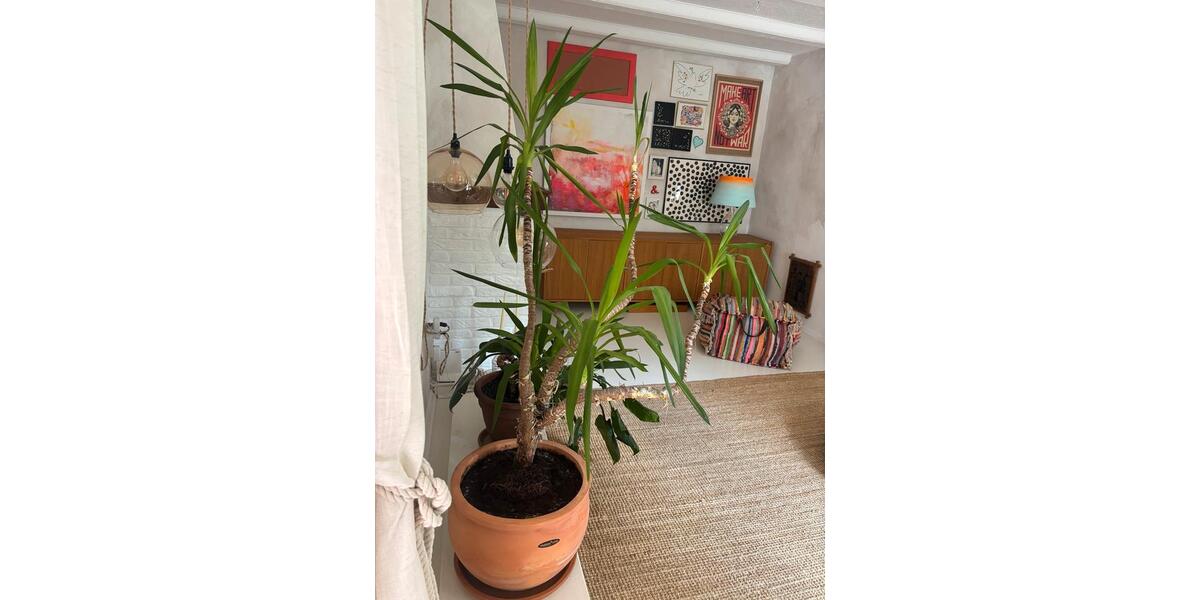 Doppelhaushälfte Dortmund Hörde - 4 Zimmer, 133 m&sup2;, 399.000&euro; | Angebot:27208980