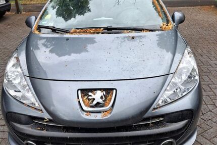 Peugeot 207 144.519 km 599 &euro; Dortmund 44227