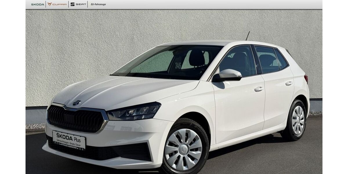 Skoda Fabia 39.100 km 12.690 &euro; Castrop-Rauxel 44579