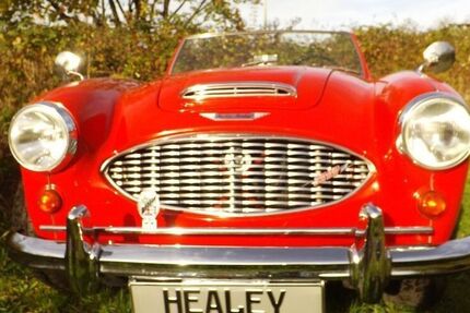 Austin Healey Andere