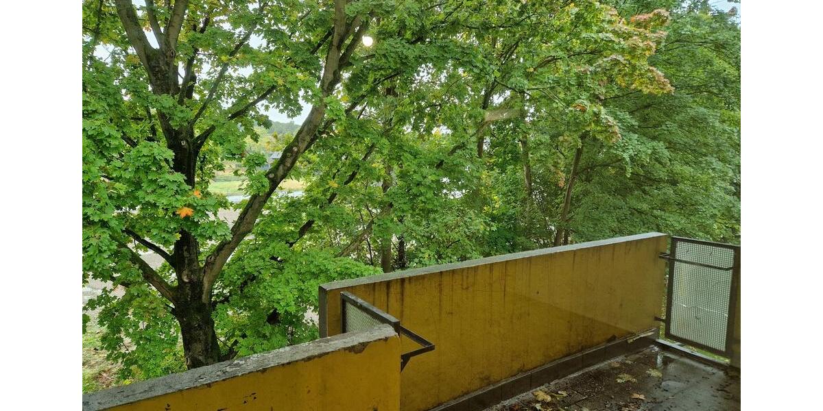 Toll geschnittene 4-Zimmer-Wohnung im Grünen 4 zimmer