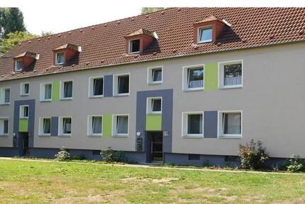 Erste eigene Wohnung? Kleine, aber gemütliche 2,5-Raum Dachgeschoßwohnung erwartet Sie!
