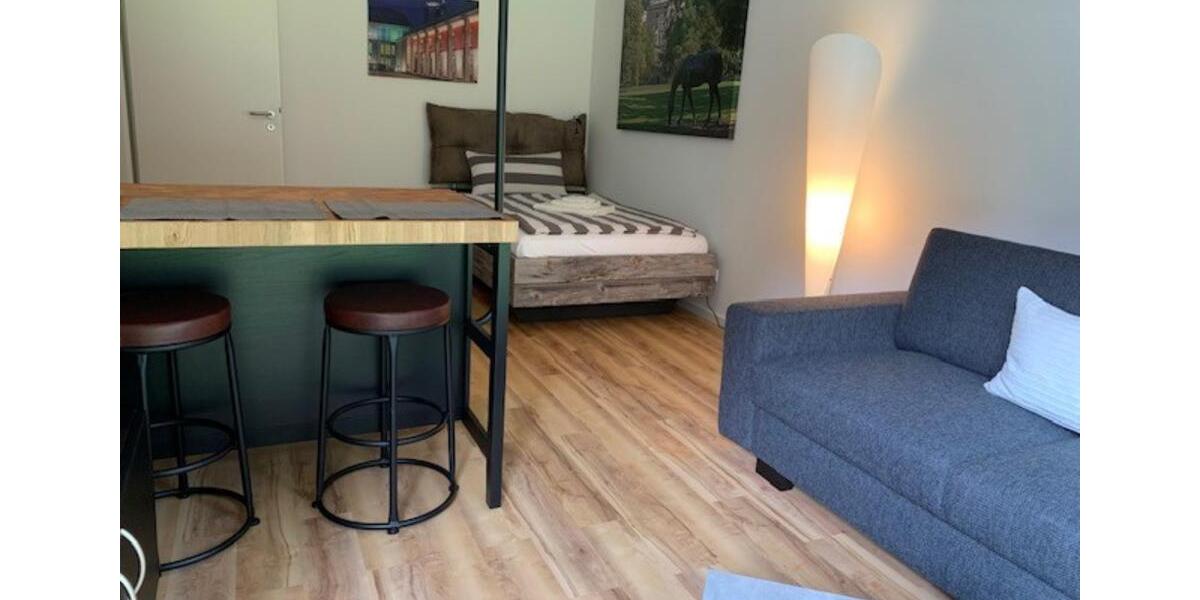 möbliertes Apartment mit Terrasse 34 qm 1.5 zimmer