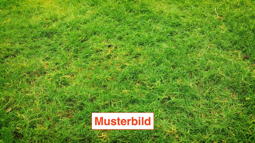 Grundstück zu verkaufen in Dortmund 529.000 € 1255 m² zimmer