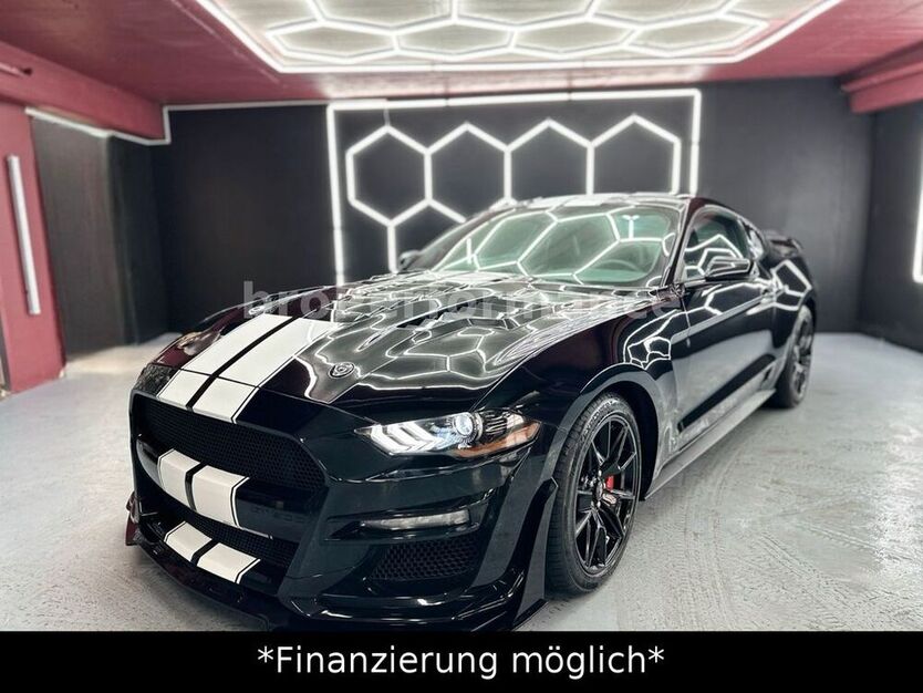 Mustang