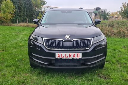Skoda Kodiaq 124.999 km 25.450 &euro; Dorsten 46282