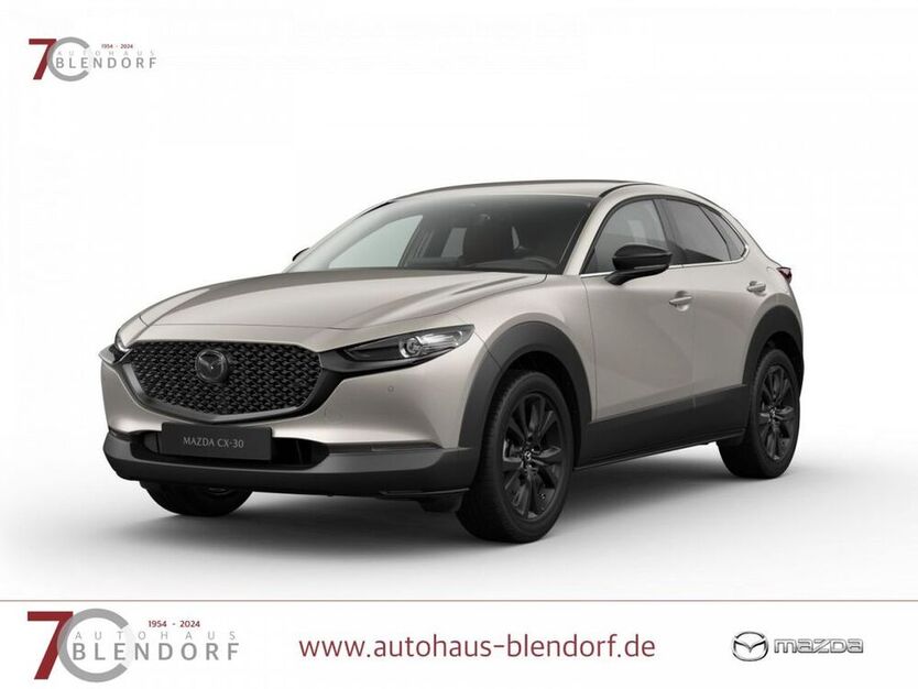 CX-30