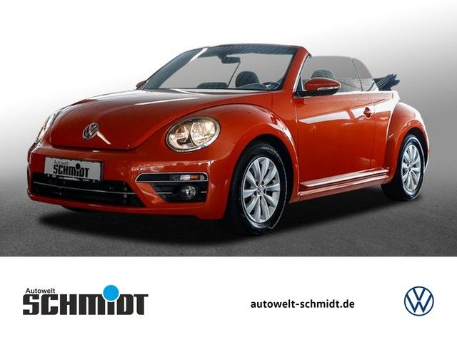 Beetle