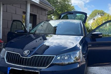 Skoda Fabia 102.684 km 8.299 € Breckerfeld 58339