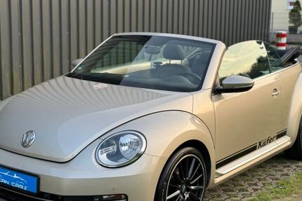 VW Beetle