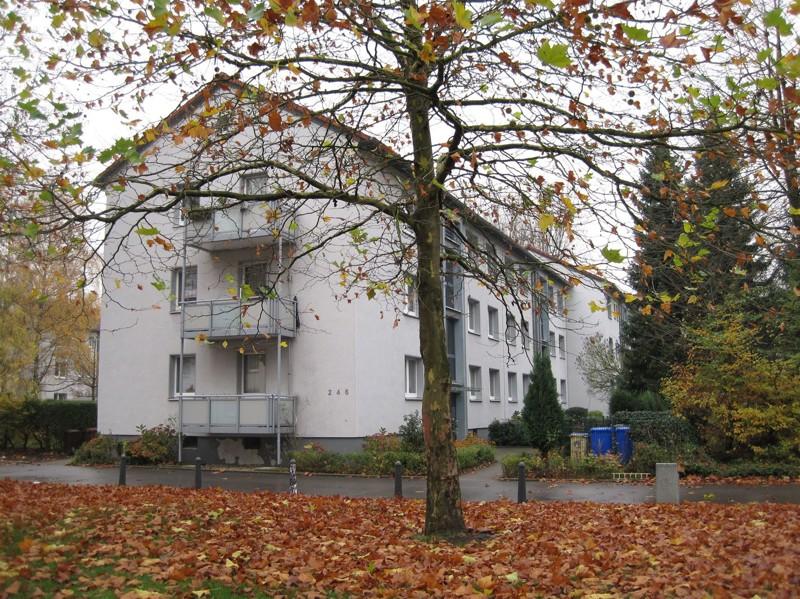 Erdgeschoßwohnung Gladbeck Brauck - 3 Zimmer, 53 m&sup2;, 471&euro; | Angebot:26673614