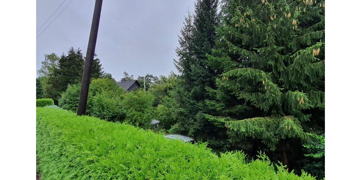 DG Wohnung im ruhigem + gepflegten Haus in grüner Lage + EBK 2 zimmer