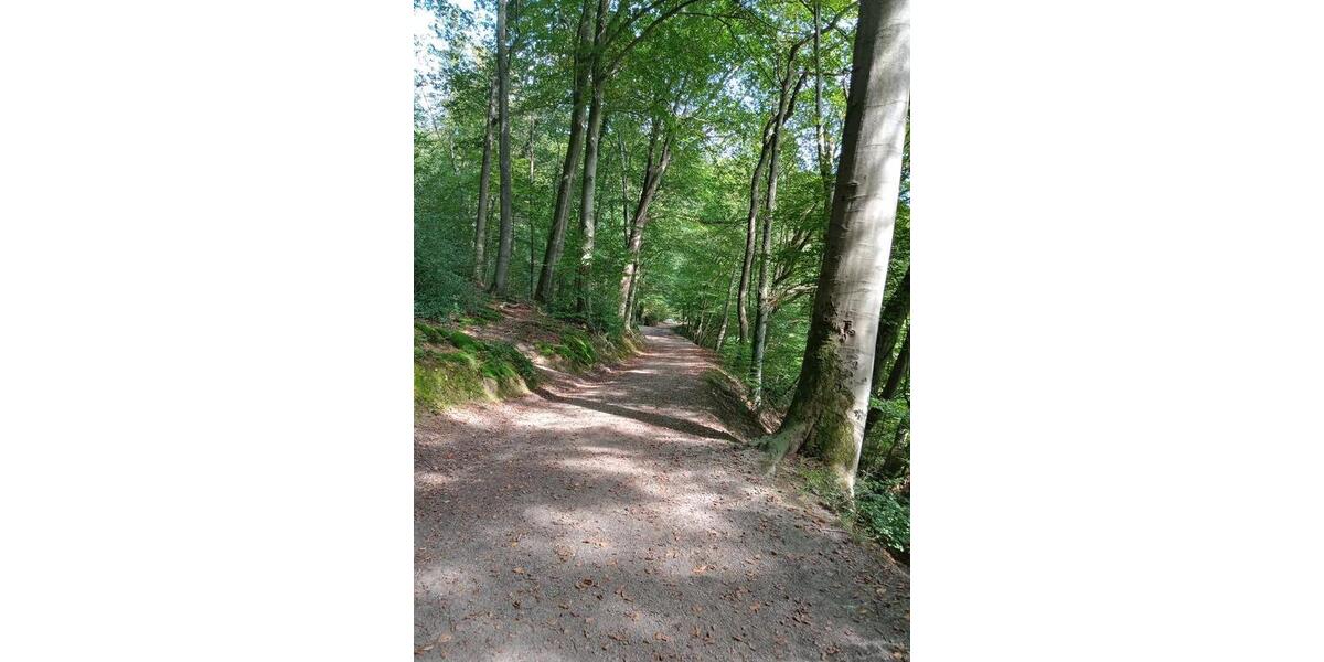 Einfamilienhaus Velbert Langenberg - 5 Zimmer, 162 m&sup2;, 398.000&euro; | Angebot:21508159