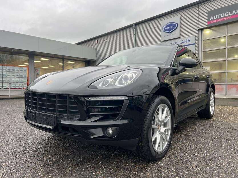 Macan