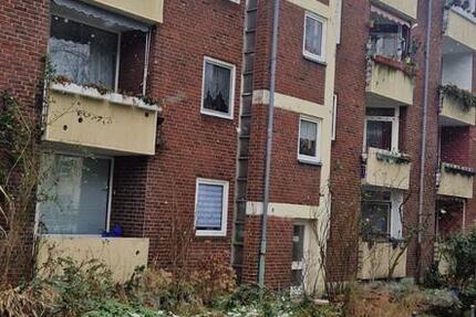 3 Zimmer Wohnung 3 zimmer