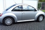 Beetle