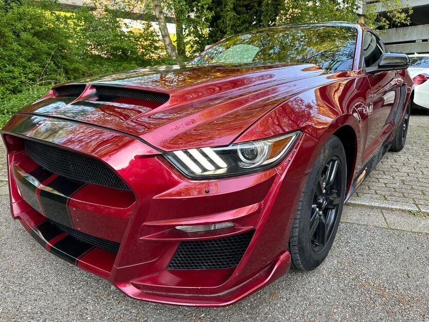 Mustang