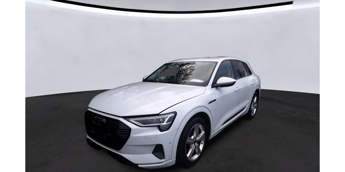 Audi e-tron 26.191 km 30.835 &euro; Hagen 58091