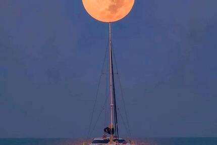 Wohnung Bochum Eppendorf - 2 Zimmer, 74 m&sup2;, 820&euro; | Angebot:25590281