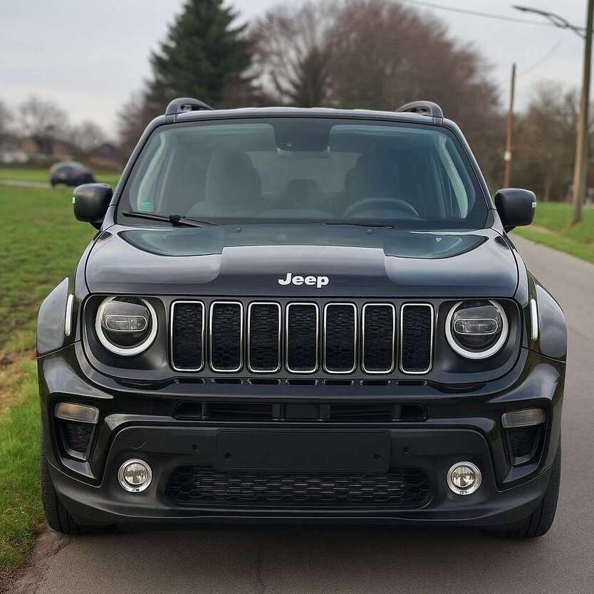 Renegade