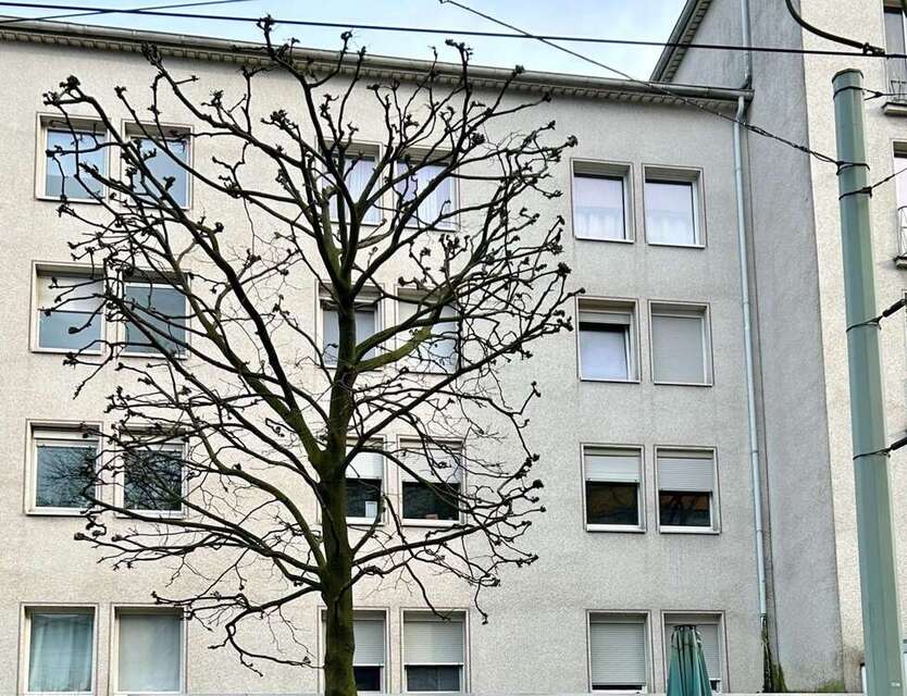 Wohnung zum Kaufen in Bochum 155.000 € 81 m²