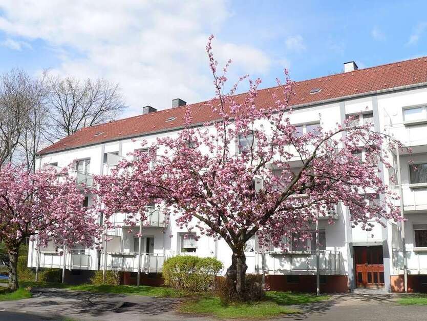 Wohnung zum Mieten in Herne 391,50 € 58 m²