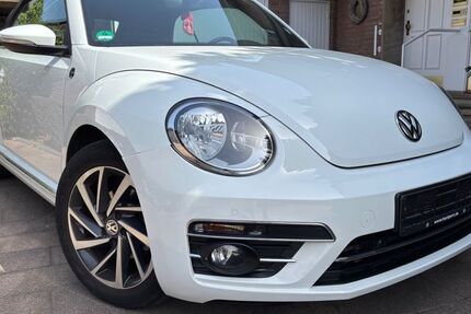 VW Beetle 39.123 km 17.900 &euro; Waltrop 45731