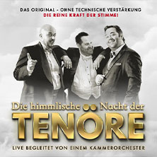 Himmlische Nacht der Tenöre - Das Original - Live und ohne technische Verstärkung 29.01.2026 Erlöserkirche