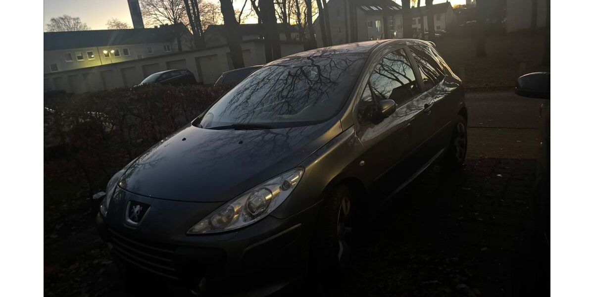 Peugeot 307 260.000 km 900 &euro; Marl 45772