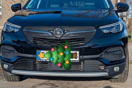 Opel Grandland (X) 69.900 km 13.200 &euro; Dortmund 44319