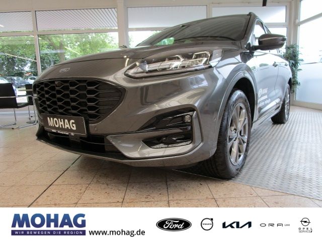 Kuga