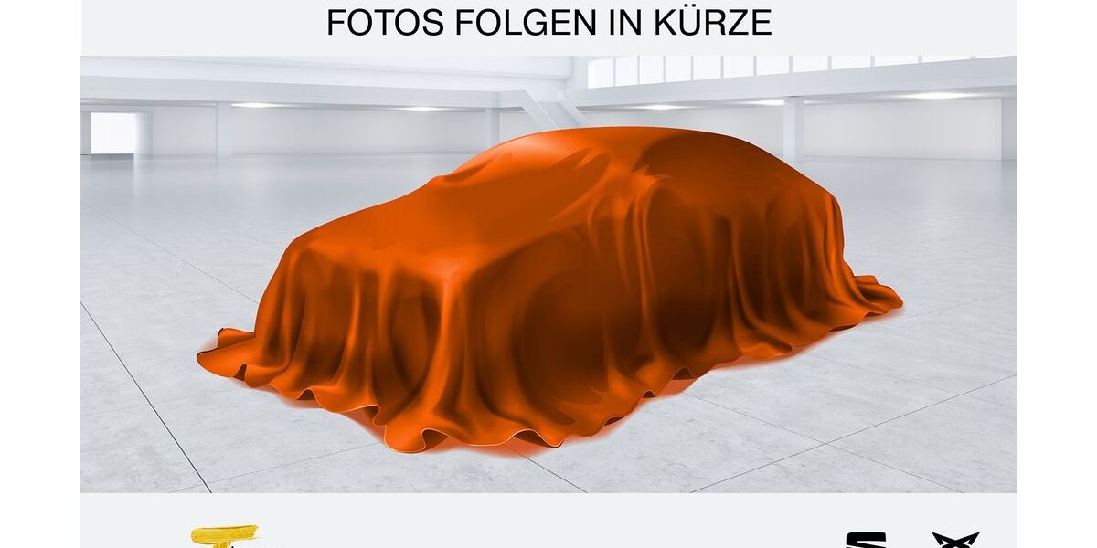 Cupra Born 114.204 km 18.170 &euro; Recklinghausen 45663