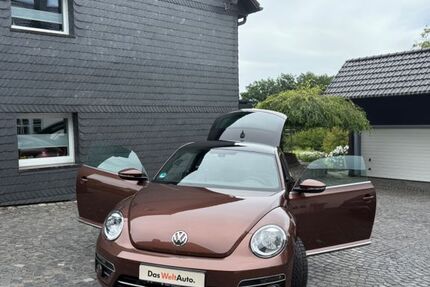 VW Beetle 67.243 km 13.750 € Bochum 44797