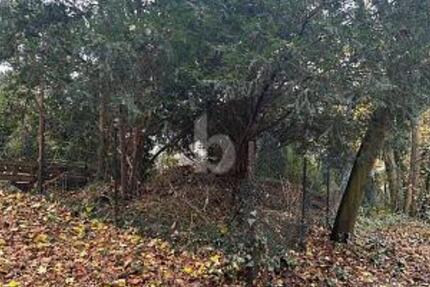 NATURNAH UND RUHIG - IHR NEUES ZUHAUSE zimmer