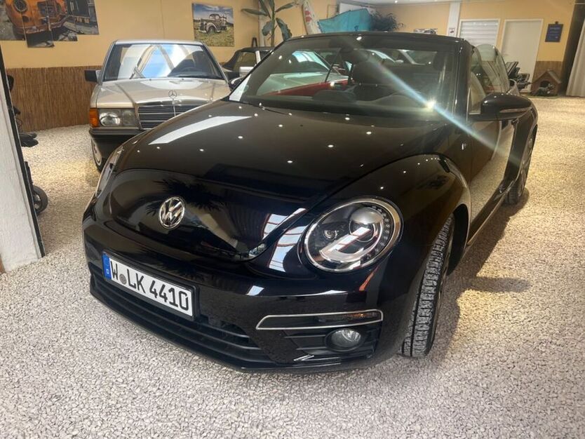 Beetle