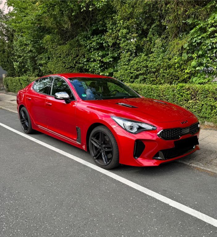 Stinger
