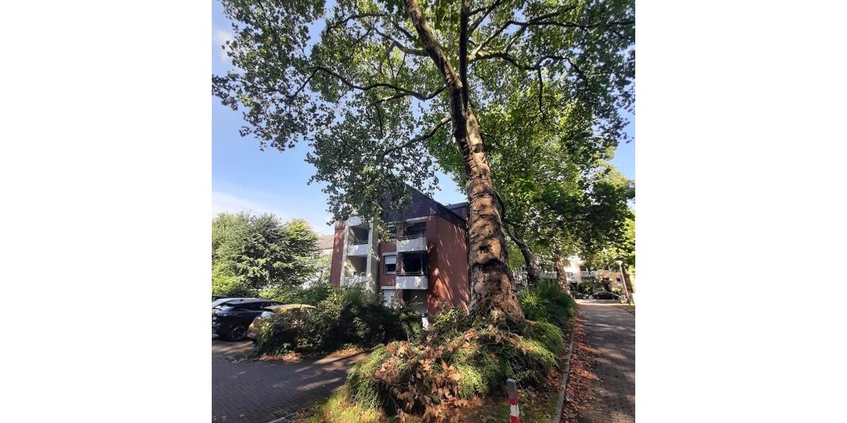 Erdgeschoßwohnung Dortmund - 1 Zimmer, 41 m&sup2;, 501&euro; | Angebot:26405898