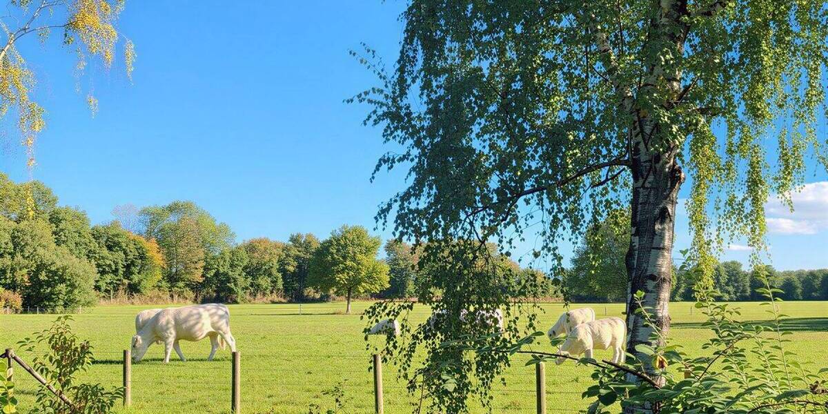 Reihenmittelhaus Herten Bertlich - 3 Zimmer, 80 m&sup2;, 175.000&euro; | Angebot:26694581