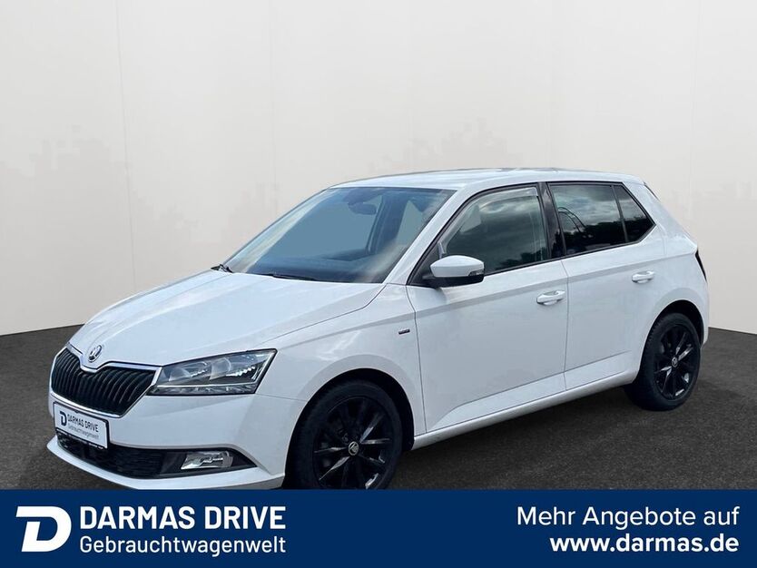 Skoda Fabia 48.733 km 11.990 € Datteln 45711