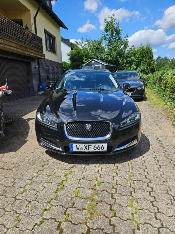 XF