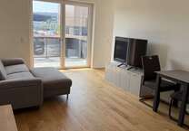 Wohnung zum Mieten in Düsseldorf 1.350 € 45 m²