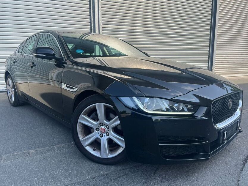 XF