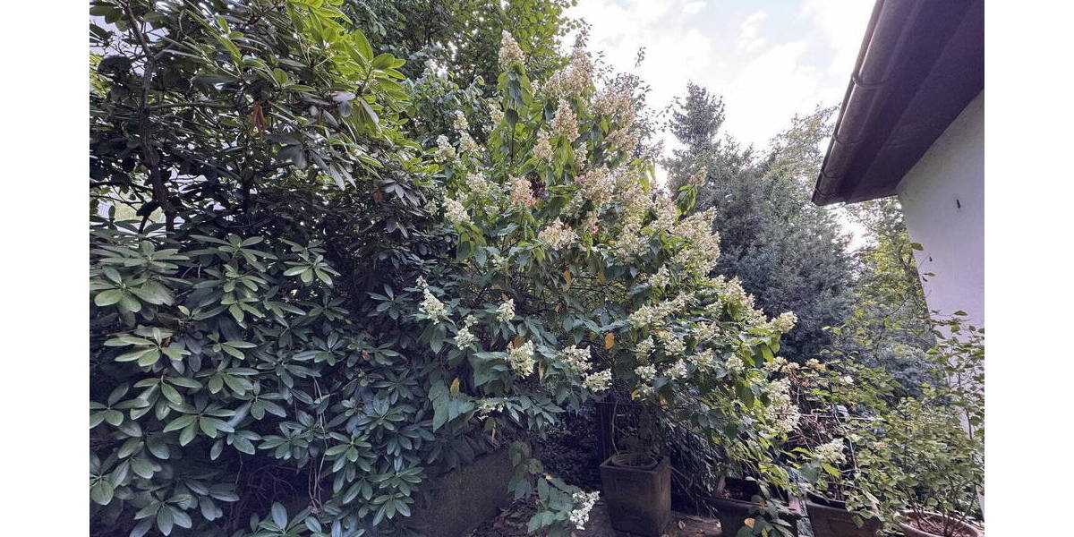 Einfamilienhaus Essen Bergerhausen - 8 Zimmer, 180 m&sup2;, 345.000&euro; | Angebot:26583846