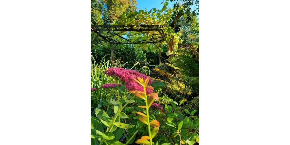 Mehrfamilienhaus, Wohnhaus Wuppertal Gemarkung Ronsdorf - 8 Zimmer, 275 m&sup2;, 450.000&euro; | Angebot:25761667