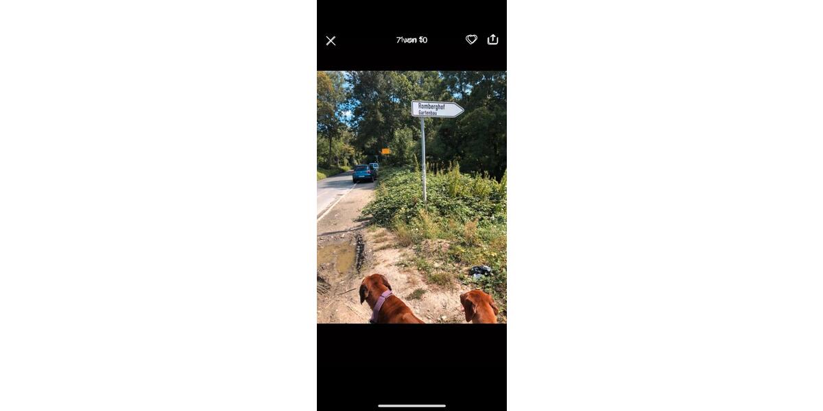 Mehrfamilienhaus, Wohnhaus Essen Stadtbezirk VII - 20 Zimmer, 570 m&sup2;, 1.500.000&euro; | Angebot:25612813